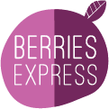 brightpurple125x125pxBEweblogo002.png