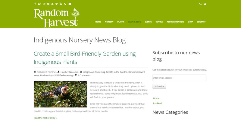 Blog Engine
