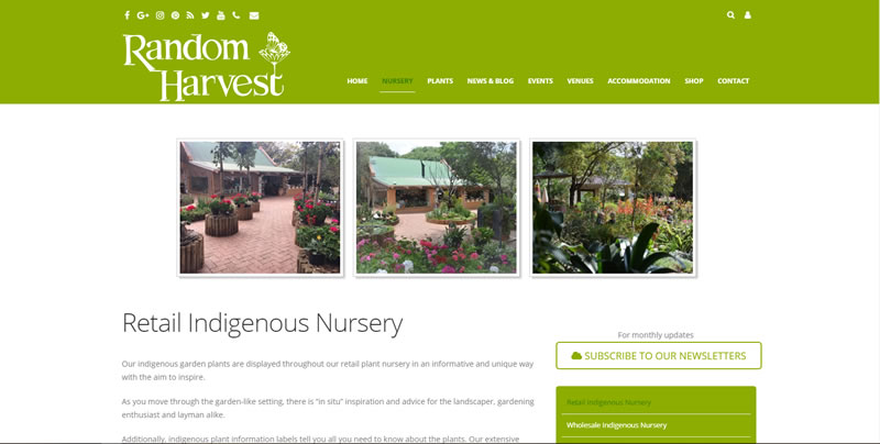 Website Navigation