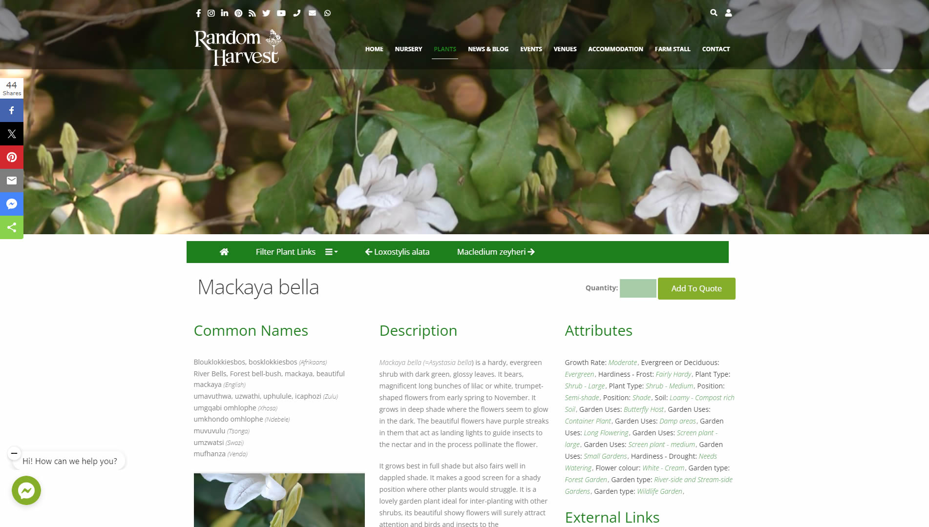 Random Harvest Web Development Plant Detail Page